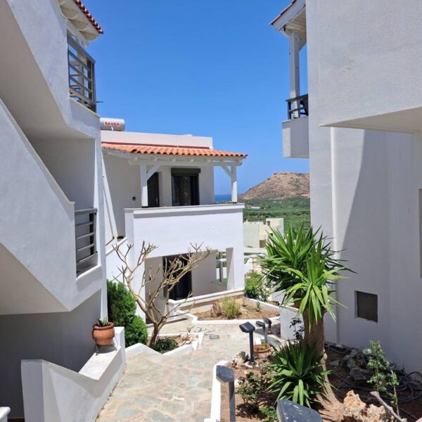 Elia Studios, Palekastro